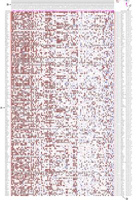 LINC00958 may be a new prognostic biomarker in various cancers: A meta-analysis and bioinformatics analysis